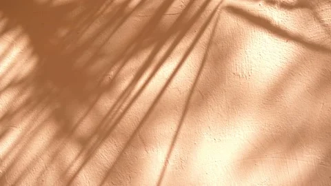 Moving tree leaf shadow on wall Stock Footage 233362031