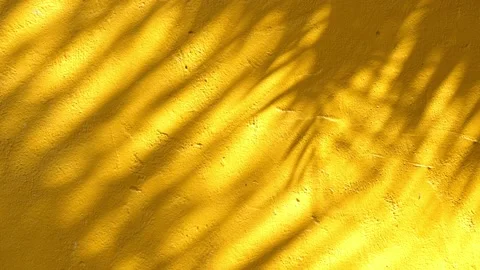 Moving tree leaf shadow on yellow cement wall Stock Footage 233361955