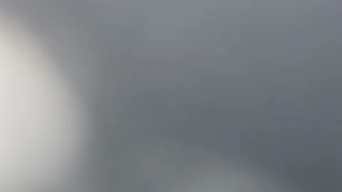 Moving Tree Leaf Shadows Background on Frosted Window Indoors Stock Footage 172253285