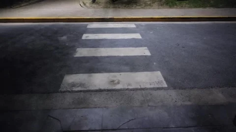 Moving Tree Shadows on Crosswalk Under Streetlight Stock Footage 342363232