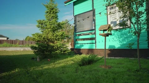 Moving tree shadows in a summer backyard Stock Footage 337829732