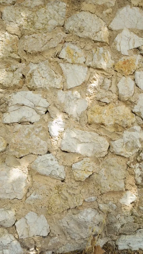Moving tree shadows on a textured ancient stone wall Stock Footage 344805035
