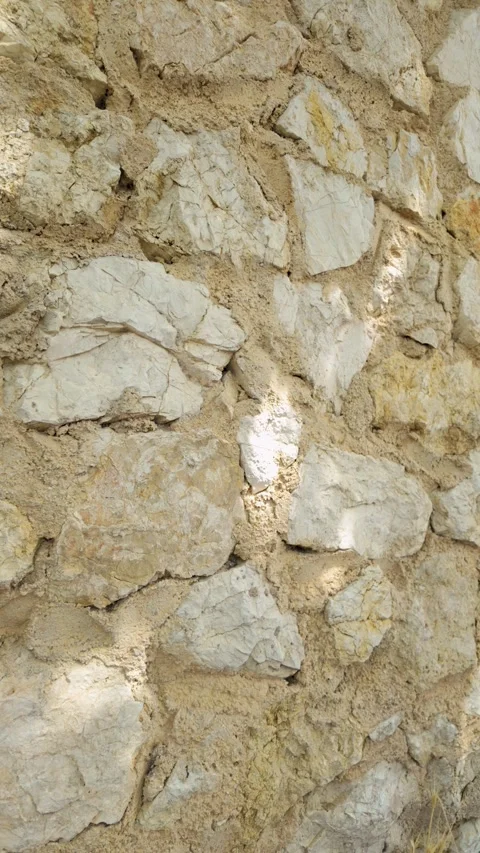Moving tree shadows on a textured ancient stone wall Stock Footage 344805041