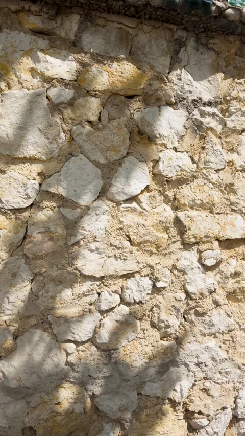 Moving tree shadows on a textured ancient stone wall Stock Footage 344805064