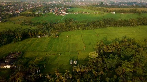 Moving up ubud Stock Footage 106694982