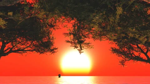 Moving under tree - water Stock Footage 168371015