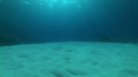 Moving underwater Video stock 40083160