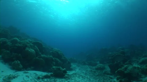 Moving on underwaterground Video stock 40083158