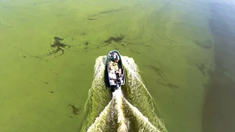 Moving up view from drone on the boat moving along the green polluted water Stock Footage 82583742