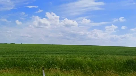 Moving view of green field under blue sky Stock Footage 171120504