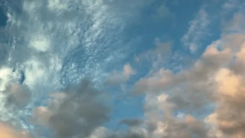 Moving View of Green Trees and Dramatic Clouds in Daylight, New York State 스톡 동영상 344989435