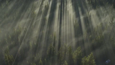 Moving View over Sun Rays Cutting Throug... | Stock Video | Pond5