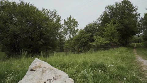 Moving from the view of the treetops and the sky, to a rock with a name Stock Footage 263706982
