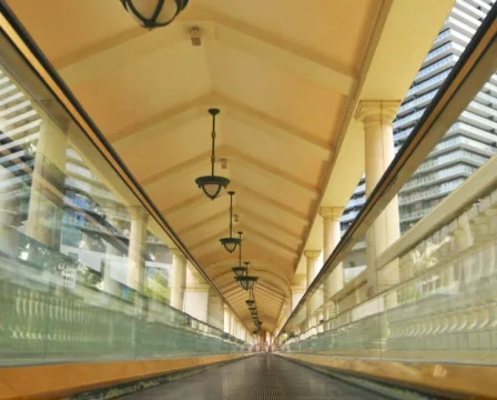 Moving Walk Stock Footage 380358