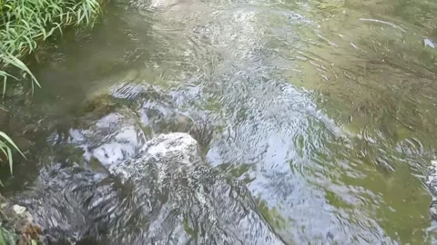 Moving water background, moving vater in slow motion, water flowing in the river 库存影片 344570840