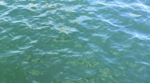 Moving Water Surface Stock Footage 752631