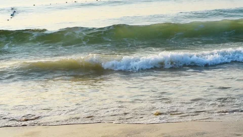 Moving waves beach water flow  ocean closeup shot Stock Footage 98290380
