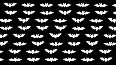 Moving white bats pattern on plain black background Stock Footage 271138056