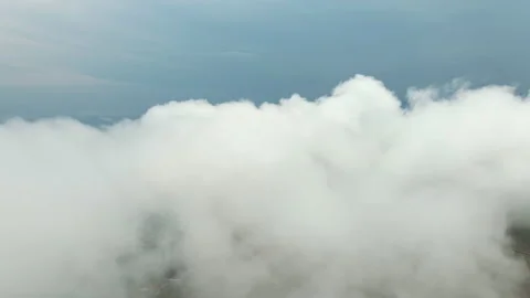 Moving white clouds blue sky on coastline and sea surface, road in woods Stock Footage 133336622