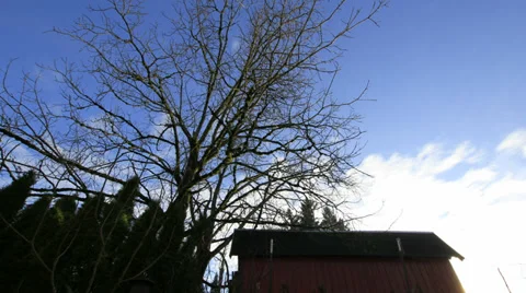 Moving White Clouds Timelapse with Blue Sky and Red Barn in Winter 1080p Stock Footage 33690096