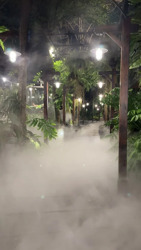 Moving White Fog Mist in a Dense Garden Vídeo Stock 342532901