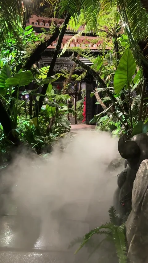 Moving White Fog Mist in a Dense Garden 스톡 동영상 342532924