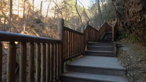 Moving up a wooden path next to a cliff in the forest Stock Footage 300061663