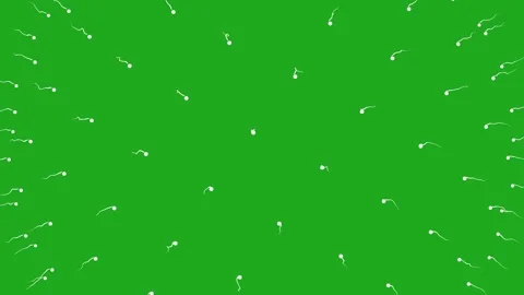 Moving worms motion graphics with green screen background Stock Footage 297364242