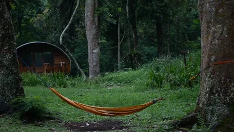 Moving yellow hammock in the middle of forest with tree, camping house, gre.. Stock Footage 258273619