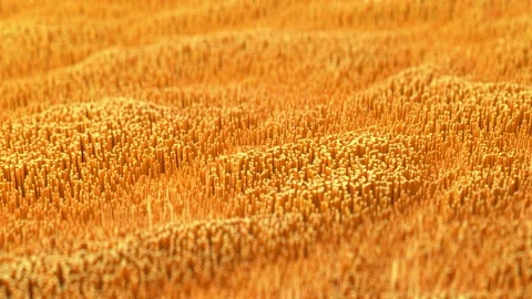 Moving yellow-orange texture. Dynamic motion pulsating objects rising and Stock Footage 140044926