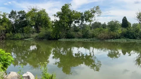 MovingAlongRiverBank 2 Stock Footage 208133053