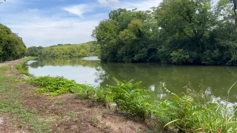 MovingAlongRiverBank 3 Stock Footage 208133562