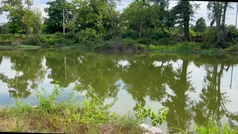 MovingAlongRiverBank Stock Footage 208134872