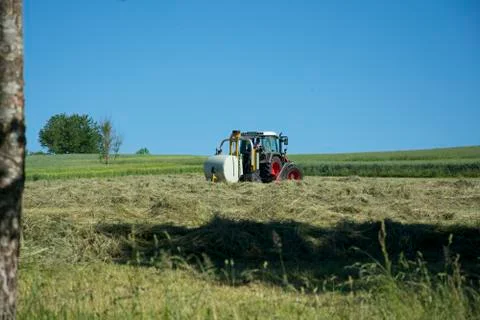 Movinghay Stock Photos