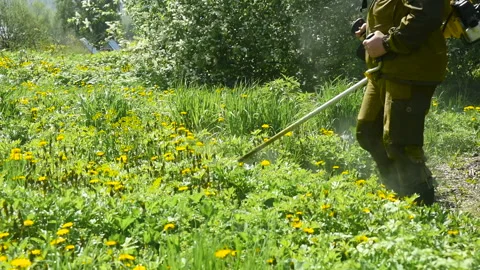 Mow the grass with the trimmer Stock Footage 90426960