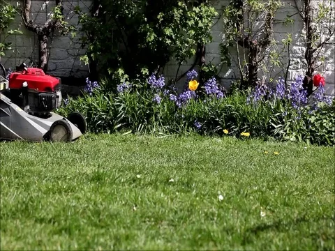 Mow the lawn Stock Footage 77097481