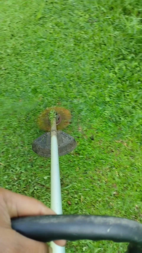 Mow the lawn Stock Footage 224110778