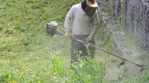 To mow a lawn with a trimmer. Video stock 48446091
