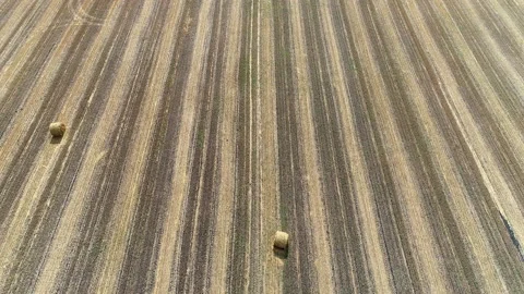 Mowed field of wheat Stock Footage 164994798