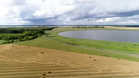 Mowed field of wheat Stock Footage 164995652