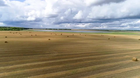Mowed field of wheat Stock Footage 164995669