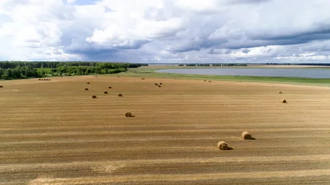 Mowed field of wheat Stock Footage 164997554