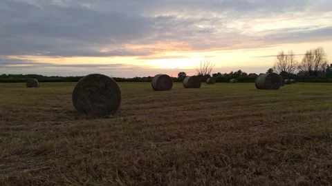 Mowed grass drying in rolled bales across a rural field, illuminated by bac.. Stock Footage 313735797