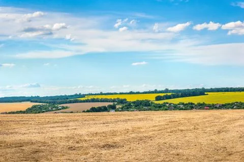 Mowed wheat field Stock Photos