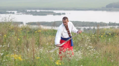 Mower ( haymaker ) Video stock 30588585