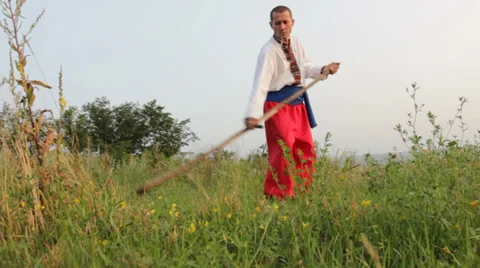 Mower ( haymaker ) Video stock 30588758