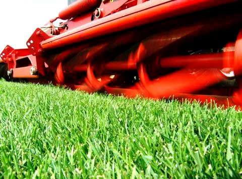 Mower machine while it is cutting the grass Foto stock