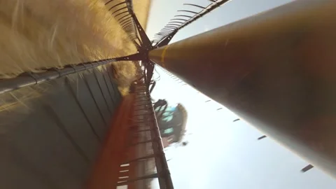 Mower mows grain in field Video stock 212447749