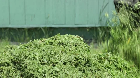 The mower pours freshly cut grass from the mower. Stock Footage 251142436
