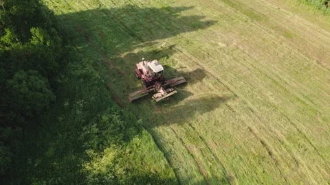 Mower rides through the meadow accompanied by a stork 스톡 동영상 158173473